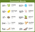 Consonant Blends Worksheet for kids