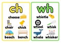 Consonant Digraph Flashcards - 2