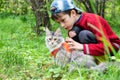 Maine coon kitten in harness and little boy are walking in the green garden Royalty Free Stock Photo