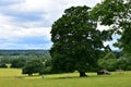 Constable Country Landscape, Dedham Vale, Suffolk, UK