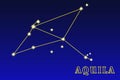 Constellation Aquila