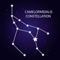 The constellation Camelopardalis with bright stars. Vector illustration.