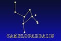 Constellation Camelopardalis