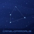 Constellation Camelopardalis, Giraffe, night star sky