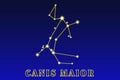 Constellation Canis Maior