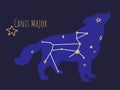 Constellation of canis major star formation of dog