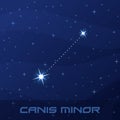 Constellation Canis Minor, Lesser Dog, night star sky