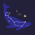 Constellation of cetus, star formation or pleiad Royalty Free Stock Photo