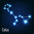 The constellation Cetus star in the night sky. Royalty Free Stock Photo