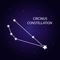 The constellation of Circinus with bright stars. Vector illustration. Royalty Free Stock Photo