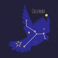 Constellation of columba, star formation of bird