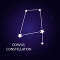 The constellation Corvus with bright stars. Vector illustration.