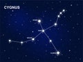 Constellation of Cygnus in the starry cosmic sky with the names of its main stars