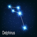 The constellation Delphinus star in the night Royalty Free Stock Photo