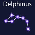 constellation Delphinus with stars in the night sky Royalty Free Stock Photo