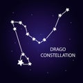 The constellation Dragon with bright stars. Vector illustration.