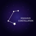 The constellation of Equuleus with bright stars. Vector illustration.