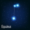 The constellation Equuleus star in the night