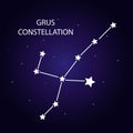The constellation Grus with bright stars. Vector illustration. Royalty Free Stock Photo