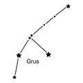Constellation Grus, vector illustration Royalty Free Stock Photo