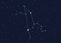 Constellation Leo Royalty Free Stock Photo