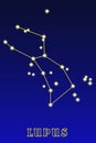 Constellation Lupus Royalty Free Stock Photo