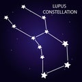 The constellation of Lupus with bright stars. Vector illustration.