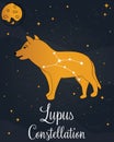 The constellation Lupus star in the night sky