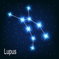 The constellation Lupus star in the night sky.