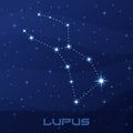 Constellation Lupus, Wolf, night star sky