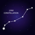 The constellation of Lynx with bright stars. Vector illustration. Royalty Free Stock Photo