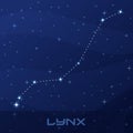 Constellation Lynx, night star sky Royalty Free Stock Photo