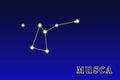 Constellation Musca