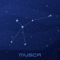 Constellation Musca, Fly, night star sky