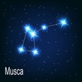 The constellation Musca star in the night sky.