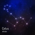 Constellation in the night starry sky Royalty Free Stock Photo