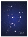 Constellation Orion