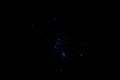 Constellation Orion on a night starry sky. Royalty Free Stock Photo