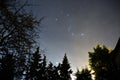 The constellation of Orion and the trees Royalty Free Stock Photo