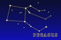 Constellation Pegasus Royalty Free Stock Photo