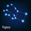 The constellation Pegasus star in the night sky. Royalty Free Stock Photo