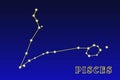 Constellation Pisces Royalty Free Stock Photo