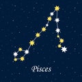 constellation Pisces zodiac horoscope astrology stars night illustration vector Royalty Free Stock Photo