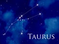 Constellation Taurus