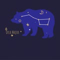 Constellation of ursa major, stars at night sky Royalty Free Stock Photo
