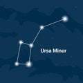 The constellation Ursa Minor or The Little Bear - Vector