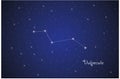 Constellation of Vulpecula Royalty Free Stock Photo