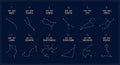 12 constellations of the zodiac signs, astrological horoscope calendar, vector astronomy spiritual symbols on a dark night sky