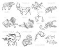 Constellations, zodiac signs, horoscope. Aries, Taurus, Gemini, Cancer, Leo, Virgo, Libra, Scorpio, Sagittarius Royalty Free Stock Photo