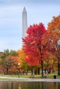 Constitution Gardens Washington DC in Autumn Royalty Free Stock Photo